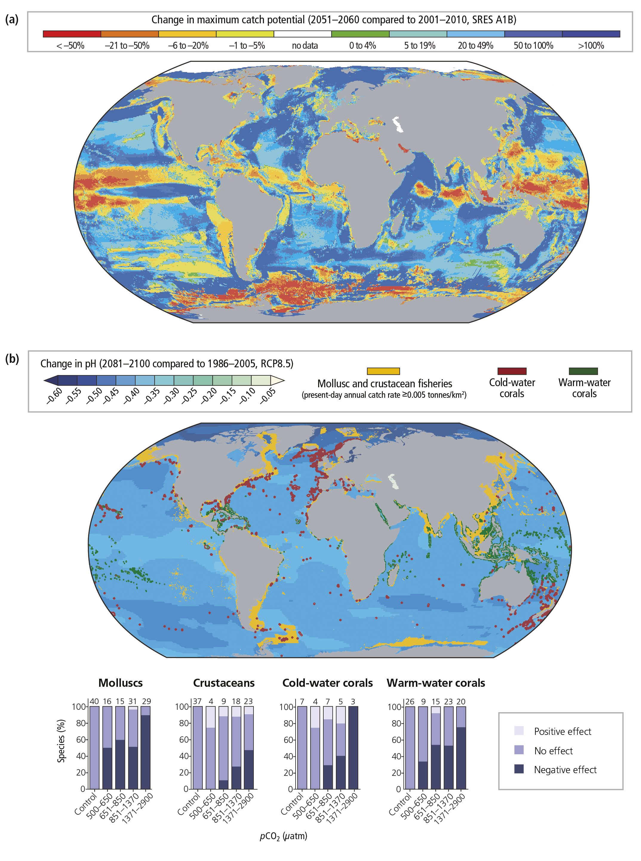 IPCC Report Graphics